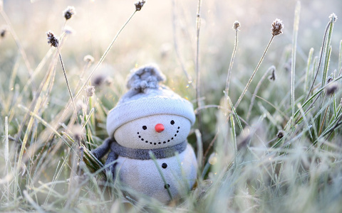 Синоптики предупреждают ухтинцев о продолжении заморозков: прогноз погоды на понедельник