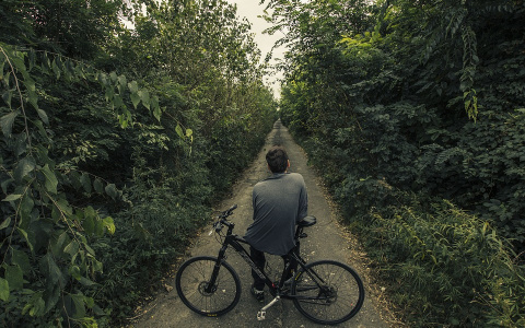 В Коми еда и велосипед довели путешественника до колонии строгого режима
