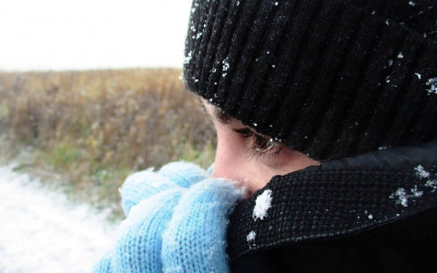 На Ухту надвигаются заморозки: МЧС предупреждает жителей об опасности