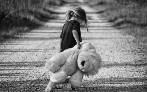 Новые подробности гибели двухлетней девочки в Коми: "несколько секунд и малышки не стало"