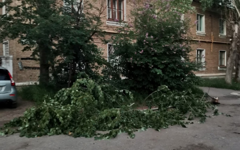 Ухта не выдержала нашествия ветра