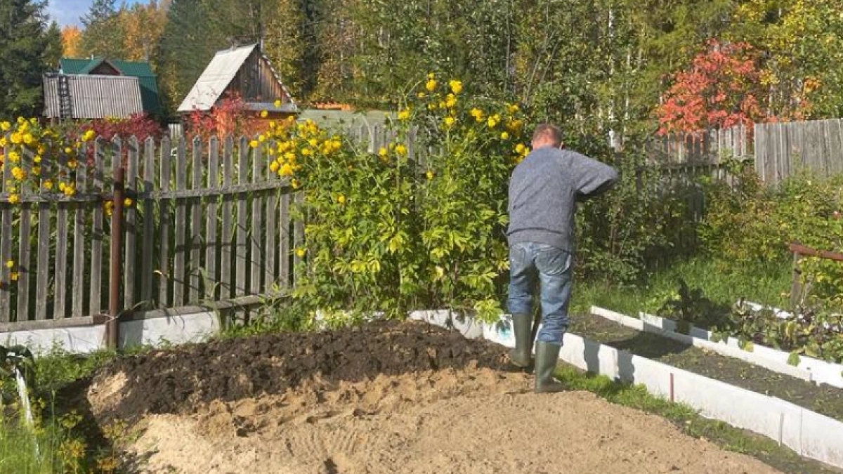 Не опилки: положите на грядку одну вещь и полоть не придется все лето — ушлые деды давно все придумали