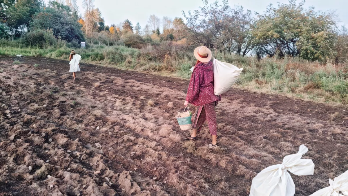 Миллионы на зелени: как фермеры зарабатывают зимой, пока дачники ждут весны