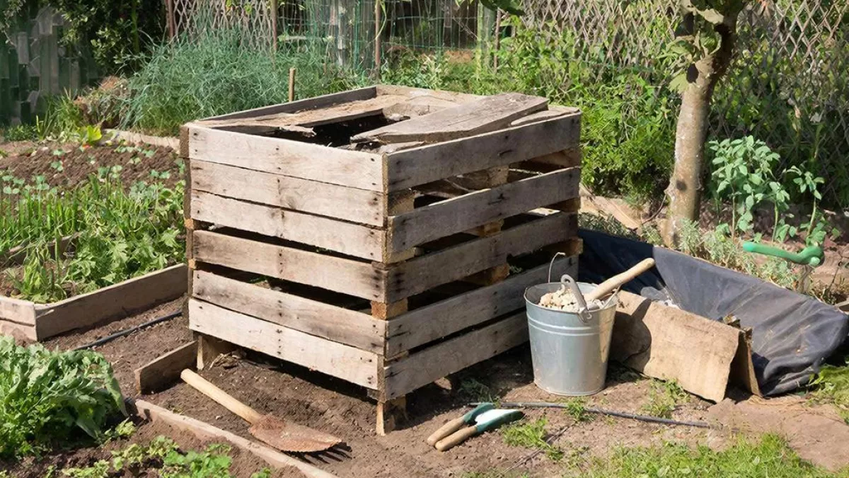 Узнала, как правильно сделать компостную яму и что нужно, чтобы компост "созрел" за год. Оказывается, мы допускаем много ошибок