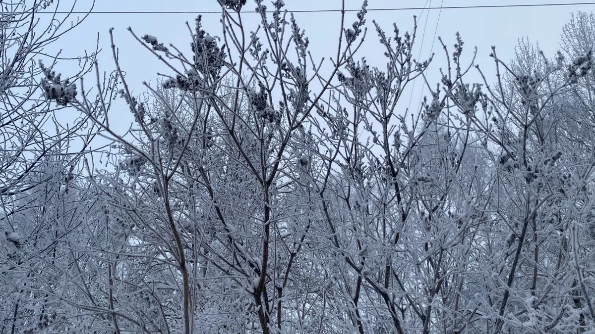 По прогнозу в Коми 9 марта ожидается до -37 ночью и слабый снег днём