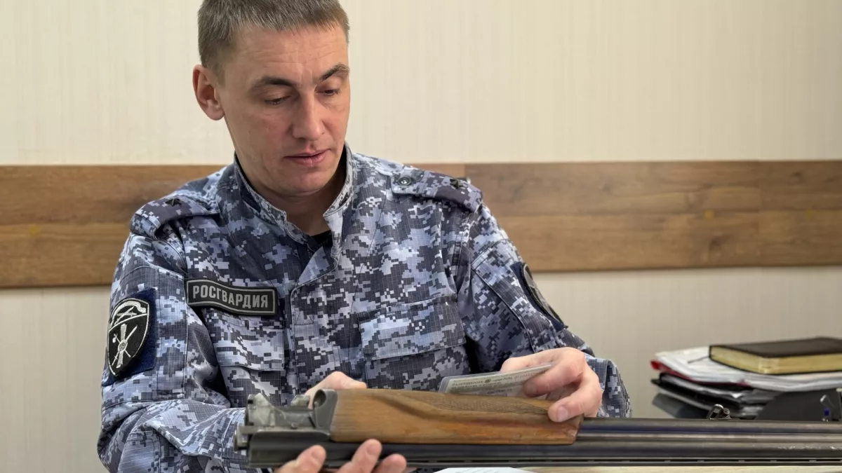 Жители Коми лишились десятков ружей из-за просроченных разрешений 
