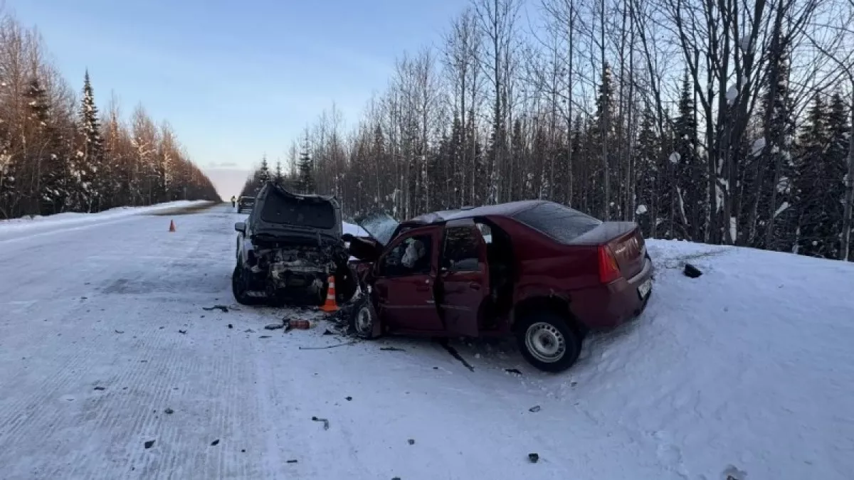 Двое человек погибли в лобовом столкновении иномарок на трассе в Коми