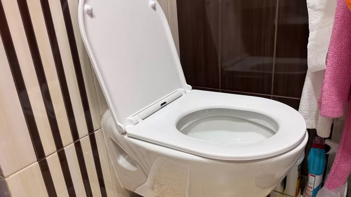 Забудьте про "крот": найден способ проще, чтобы устранить засор в унитазе – рабочий лайфхак