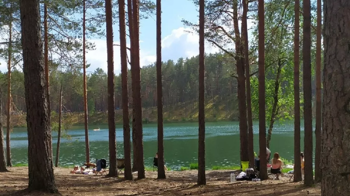 10 запахов, которых клещи боятся, как огня: знакомый егерь раскрыл секреты, как защитить себя от опасных кровососов 