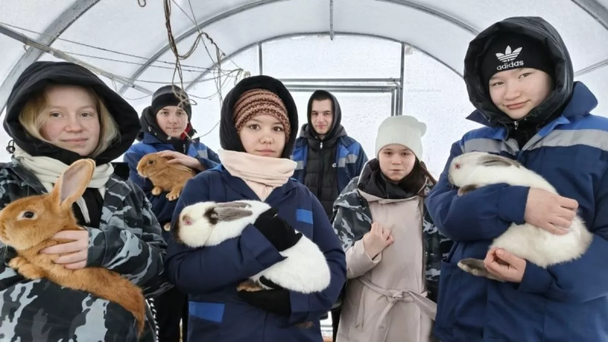 Власти Коми увеличили выплаты молодым аграриям до 600 тысяч рублей