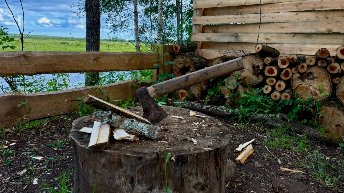 Эти дрова для печки самые экономные, жаркие и не забивают дымоход – теперь заказываю только такие