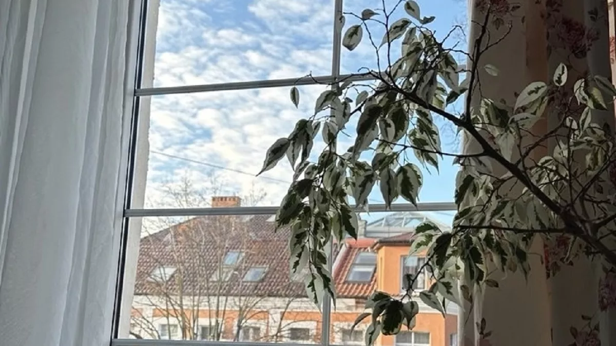 1 колпачок на ведро воды – и окна можно не мыть месяцами: сверкают, будто их нет вовсе