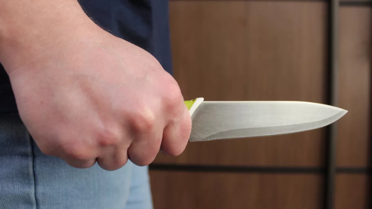 В Ухте сотрудники Росгвардии обезвредили вооруженного ножом дебошира после нападения на медиков