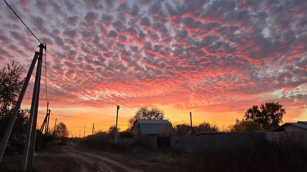 Вильфанд назвал точные даты: когда тепло придет в Центральную Россию вместо надоевших морозов