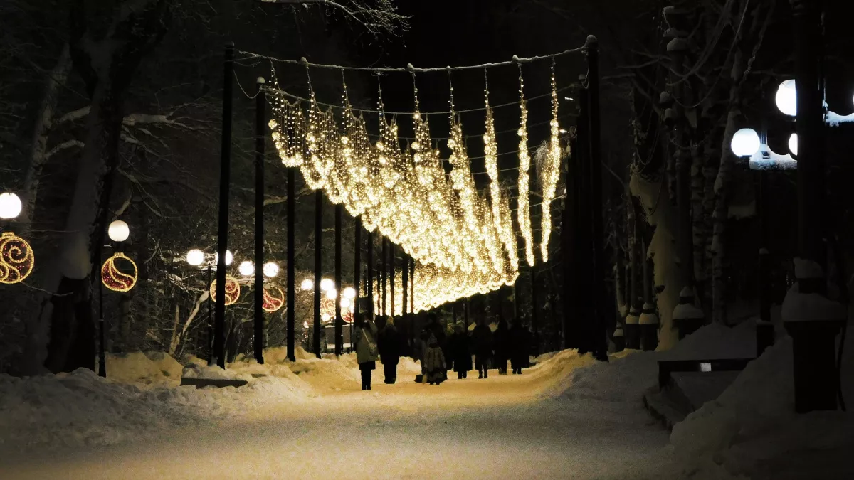 Власти Коми оставят часть новогодней иллюминации на летний сезон