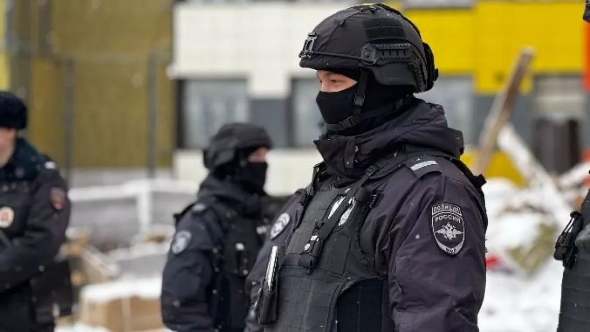 Фиктивные браки и поддельные дипломы: в Коми выявлены массовые нарушения миграционных правил