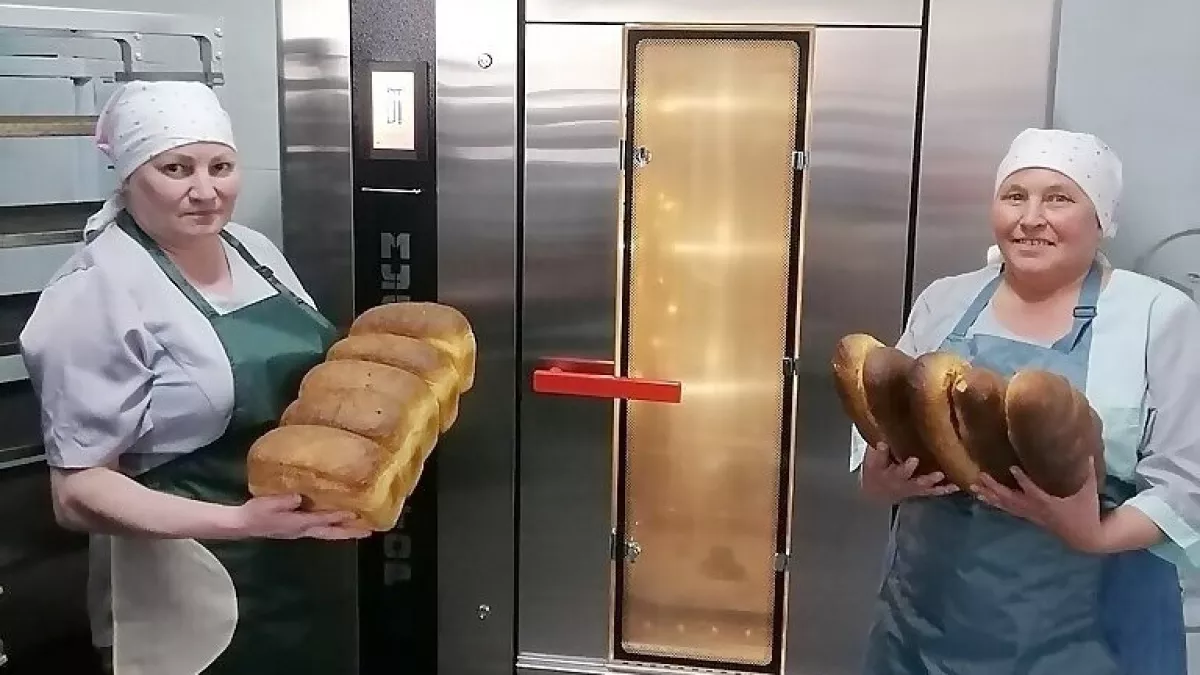 Глава Коми поручил субсидировать 50% затрат сельских мини-пекарен на оборудование