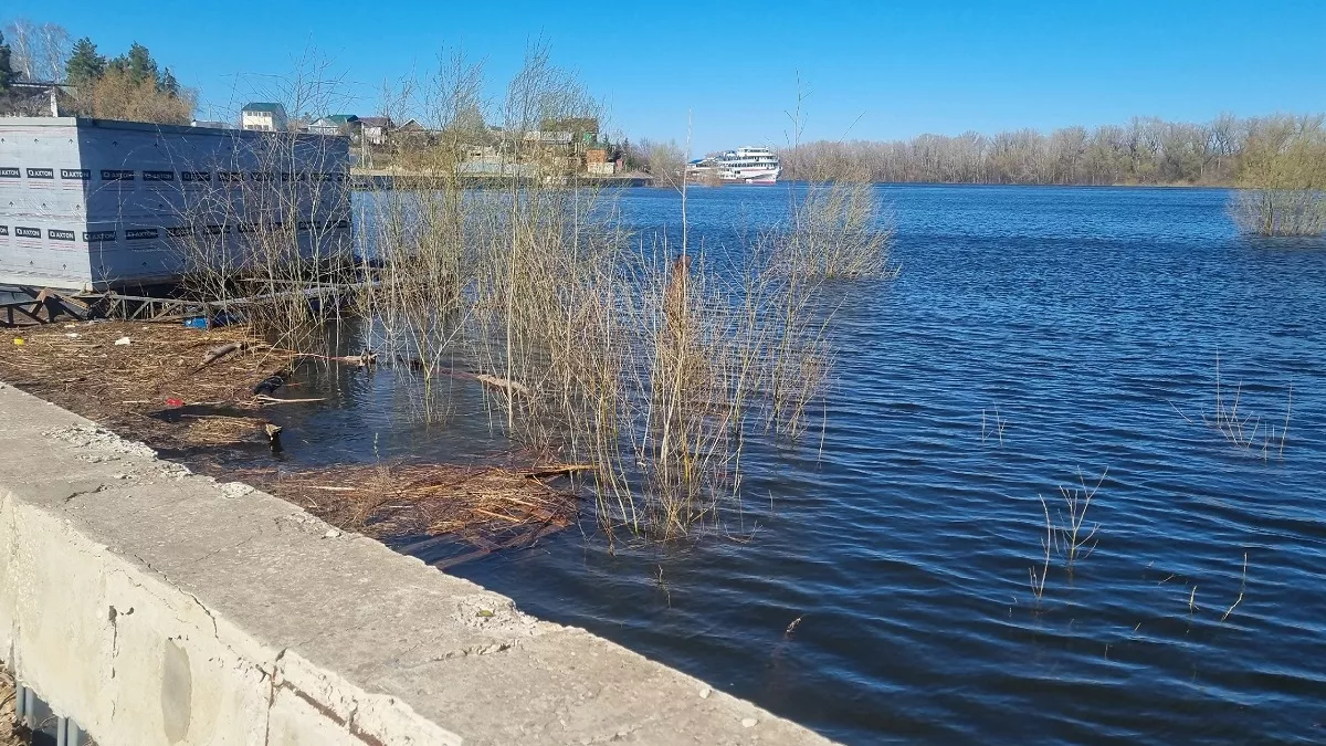 Никаких покупок: народные приметы на день Федота ветроноса, 15 марта – что можно и нельзя делать