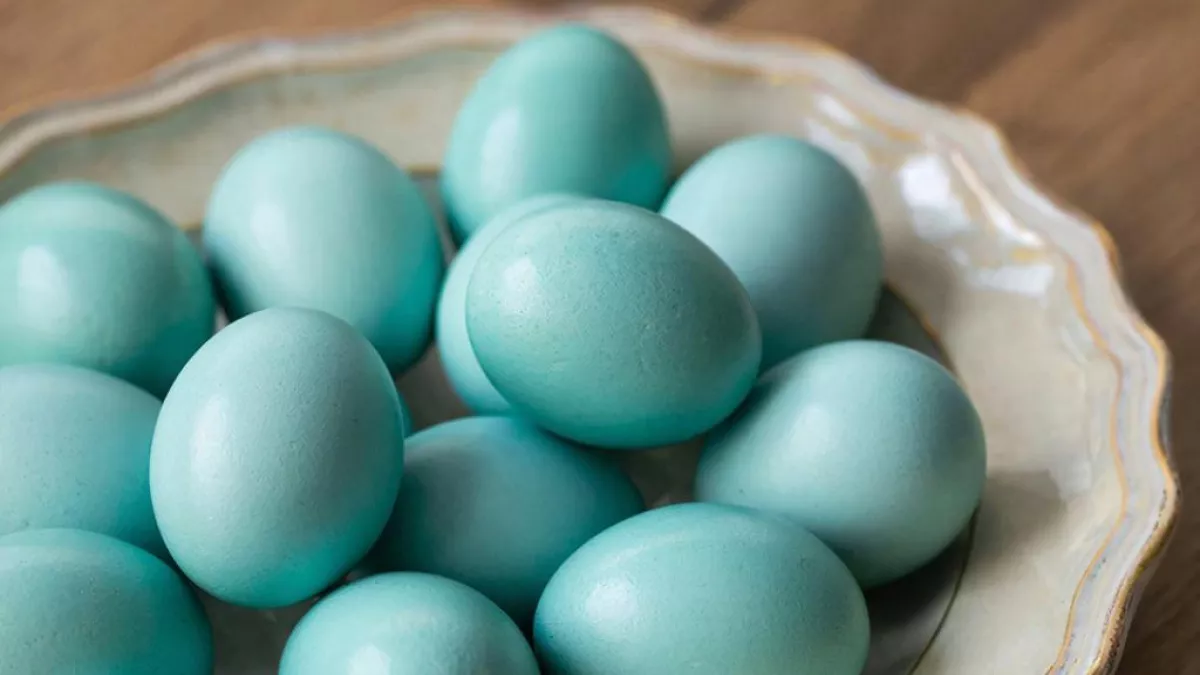 Скорлупки в стиле Тиффани: теперь яйца на Пасху крашу только так - глаз не оторвать и выглядит дорого