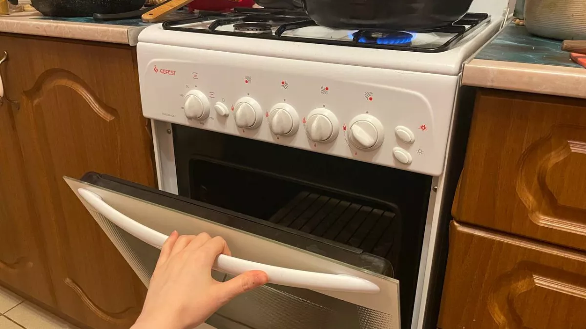 Духовка - прошлый век: практичные хозяйки давно нашли альтернативу - стоит дешевле и готовит быстрее