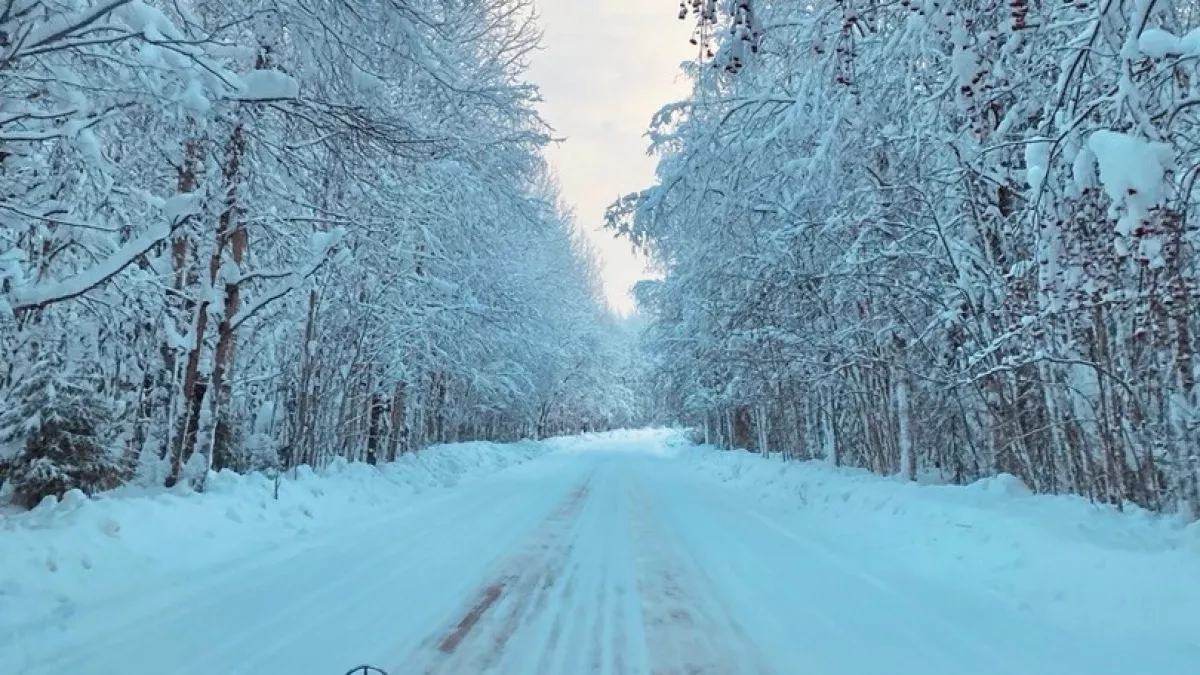Арктический циклон нарушил транспортное сообщение между НАО и Коми