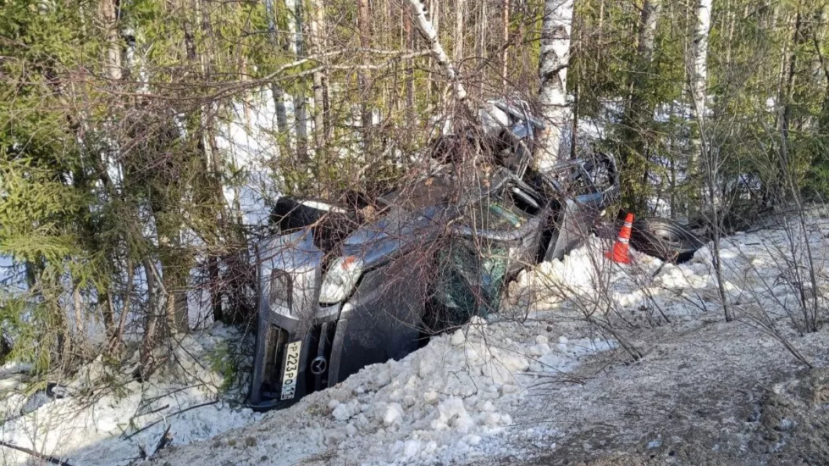 В Коми пикап Mazda врезался в дерево после опрокидывания в кювет