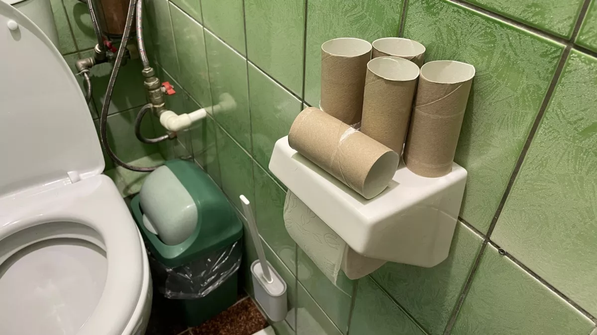 Втулки от туалетной бумаги берегу как зеницу ока: как помогают в быту — полезная вещь для решения многих проблем