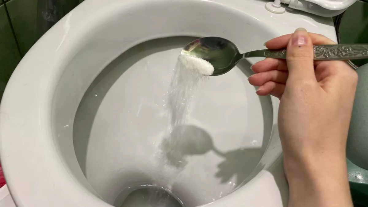 5 ложек свежести: засыпаю на ночь в унитаз, а утром он сверкает как новый - горничные раскрыли секрет