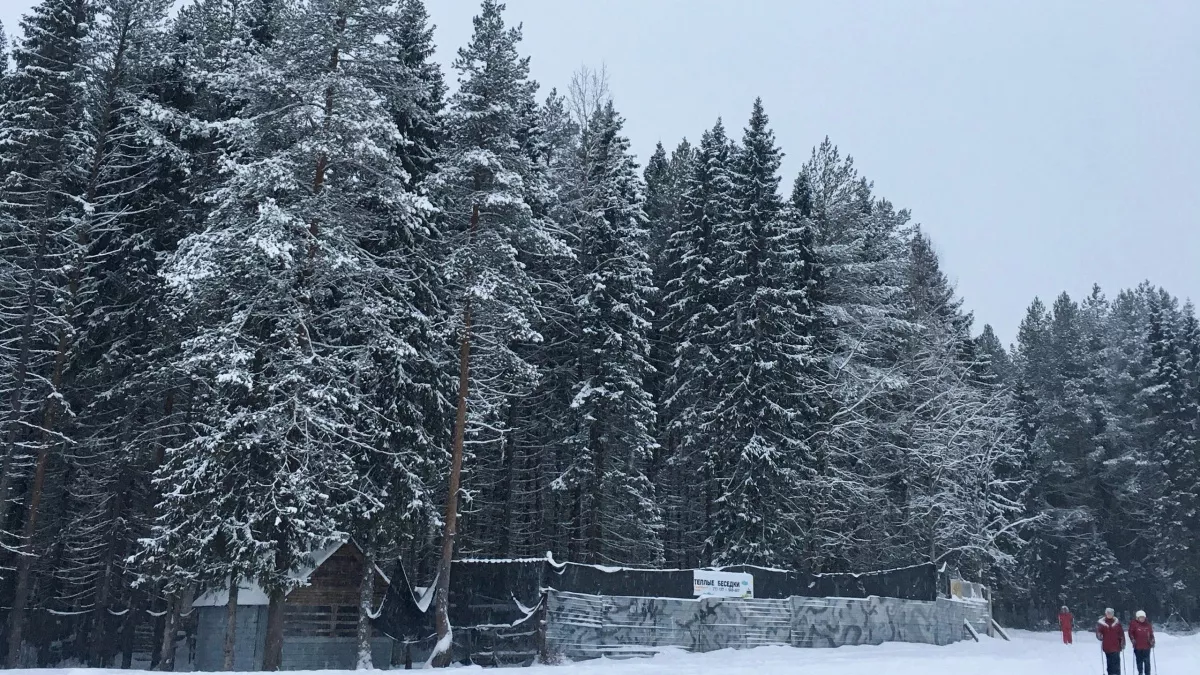 Полный откат к зиме: Гидрометцентр обновил прогноз на вторую половину марта — нас ждет возвращение морозов