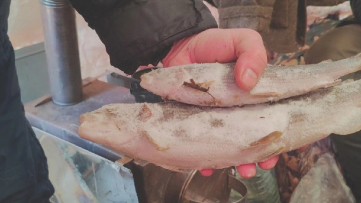 В заказнике в Коми пресекли незаконную добычу хариуса и охоту без разрешений