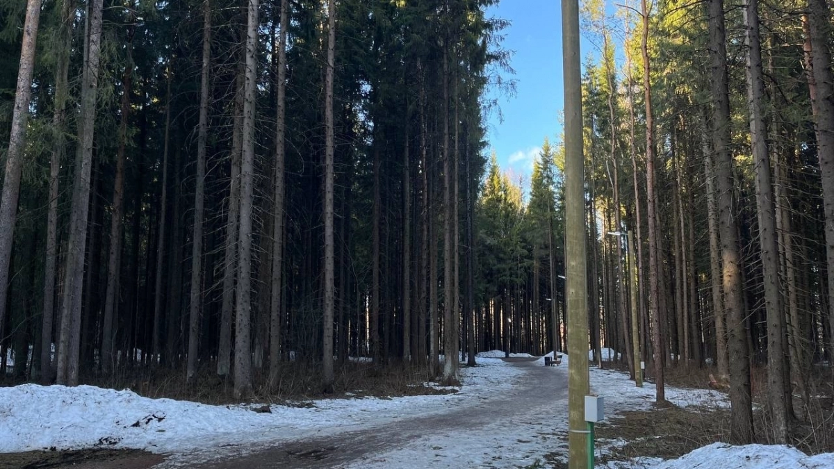 Прогноз погоды в Коми на 18 марта обещает до десяти градусов тепла