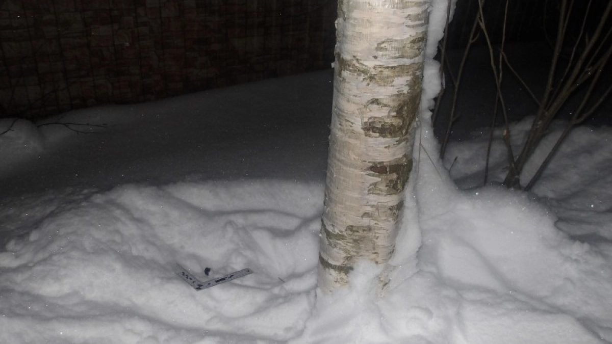 В Коми полицейские задержали двоих мужчин при попытке забрать запрещенные вещества