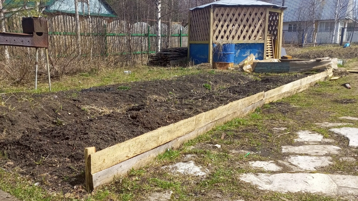 Мощнее навоза и помёта: кидаю на грядки в конце марта — почва становится рыхлой и плодородной уже к апрелю