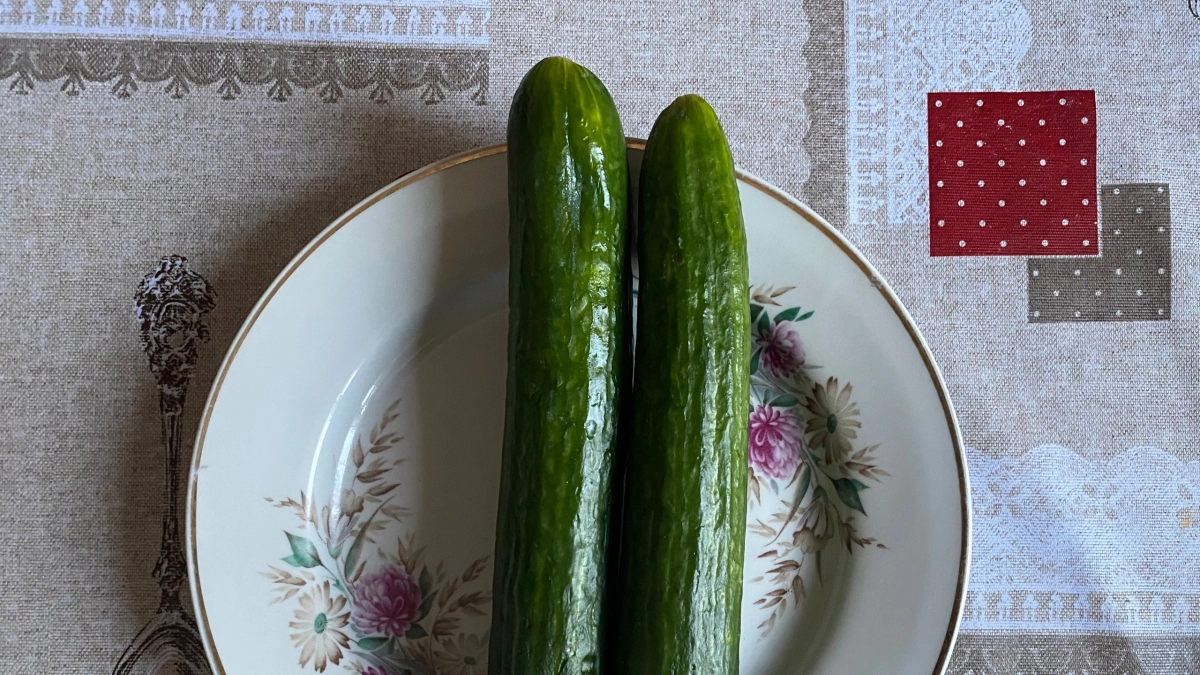 10 малоизвестных фактов об огурцах, которые мы вечно забываем – и зря