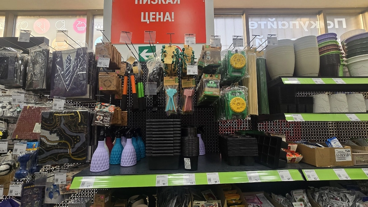 Садовый улов из Fix Price: что взяла для рассады и клумбы — огонь за копейки