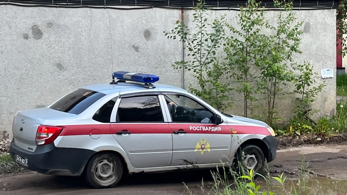 Жителей Коми задержали на крыше здания в центре Петербурга