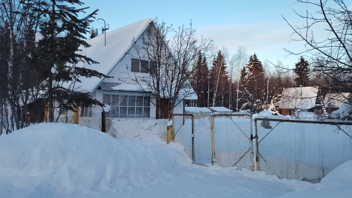 Уехала из города в деревню: ни разу не пожалела и не планирую возвращаться – и вот почему