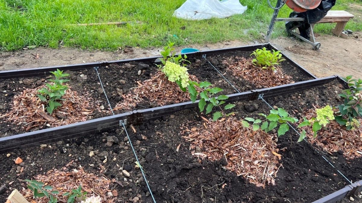 Грядки вне закона: жителям Коми объяснили цену самовольных огородов во дворе многоэтажек
