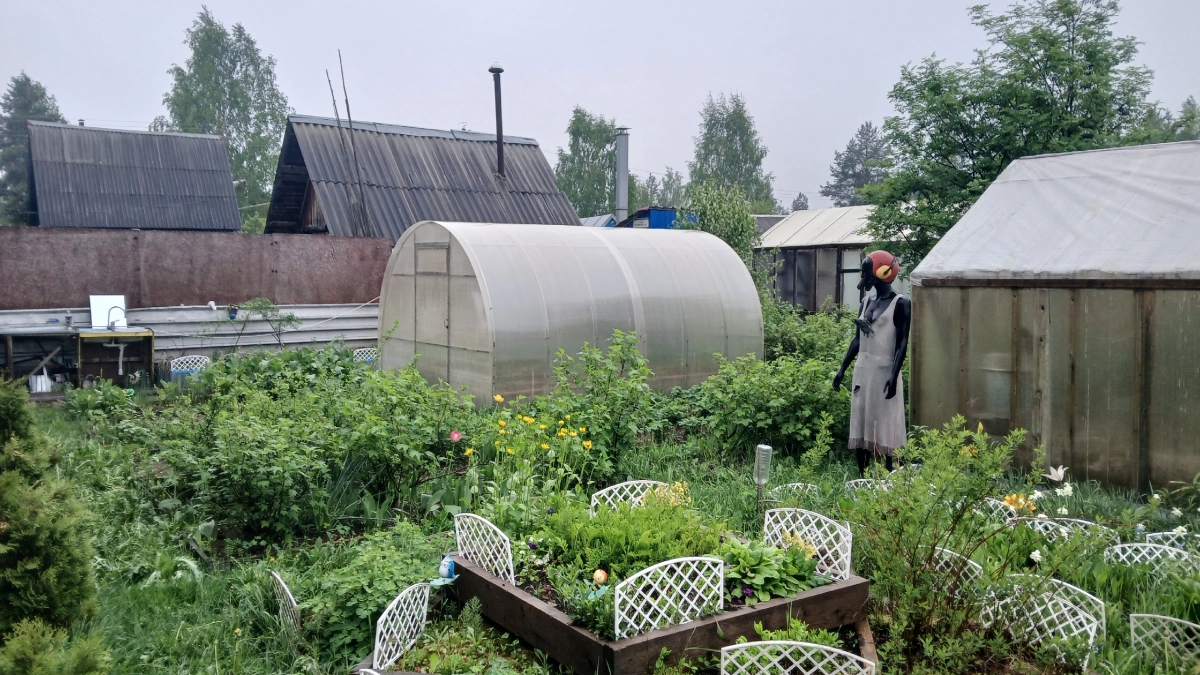 Поликарбонат больше не в моде: выбрала для теплицы материал лучше – доступный и никакой пыли