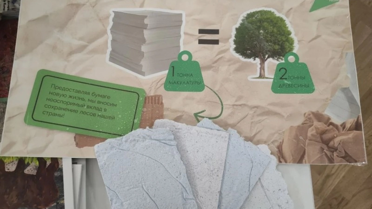 Нацпроект "Экологическое благополучие": Коми вошла в тройку лидеров Арктики по объемам вторсырья