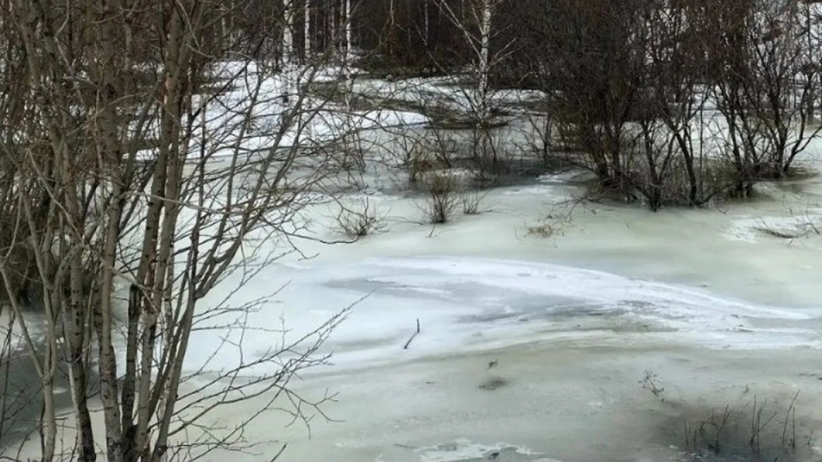 В поселке под Ухтой устранили угрозу затопления дороги из-за забитой льдом дренажной трубы