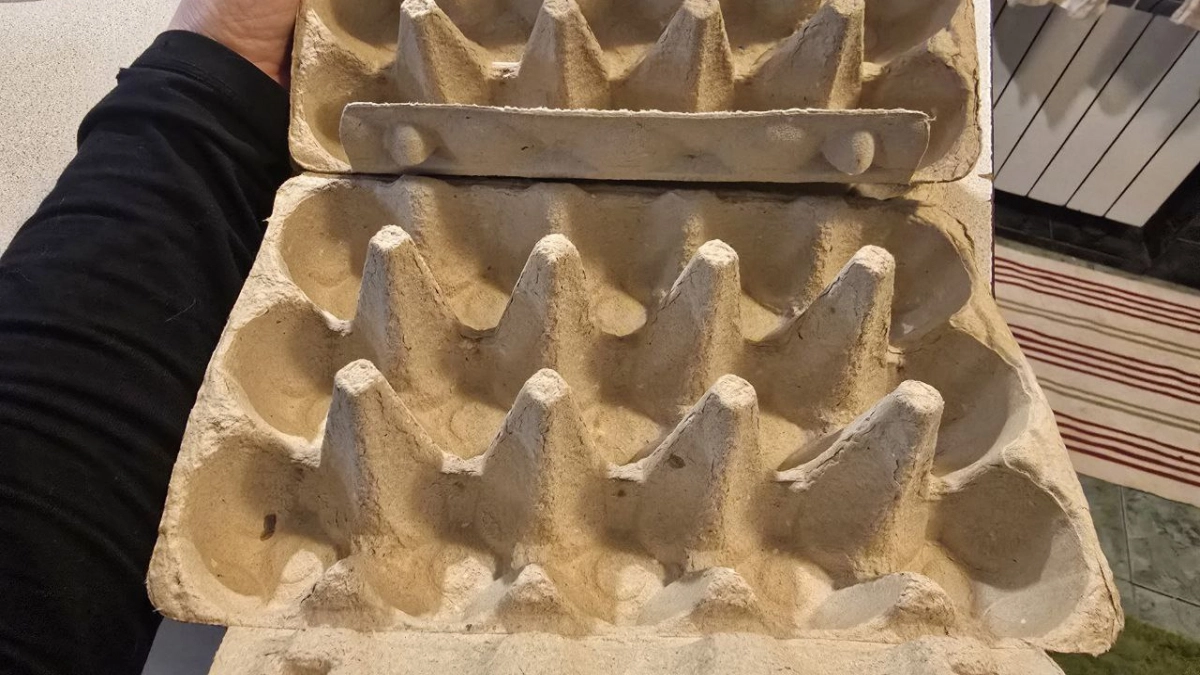 Пустые лотки от яиц больше не выбрасываю: использую их в прихожей - по совету соседки