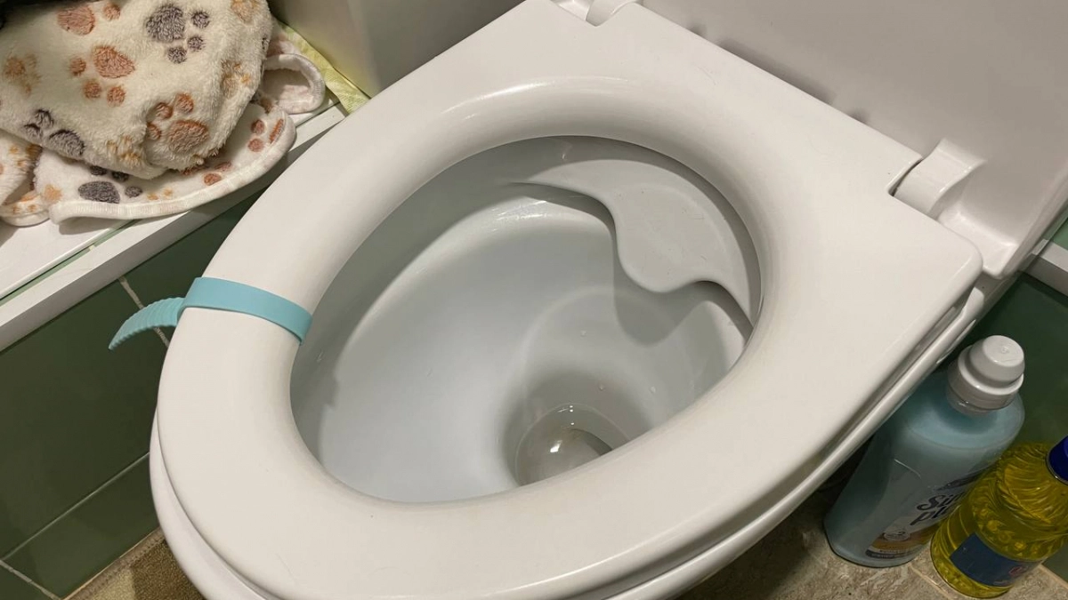 5 минут, и унитаз как новый: простой способ вернуть белизну без дорогих средств