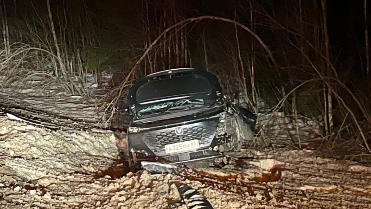Нетрезвый водитель иномарки не справился с управлением и съехал в кювет в Коми