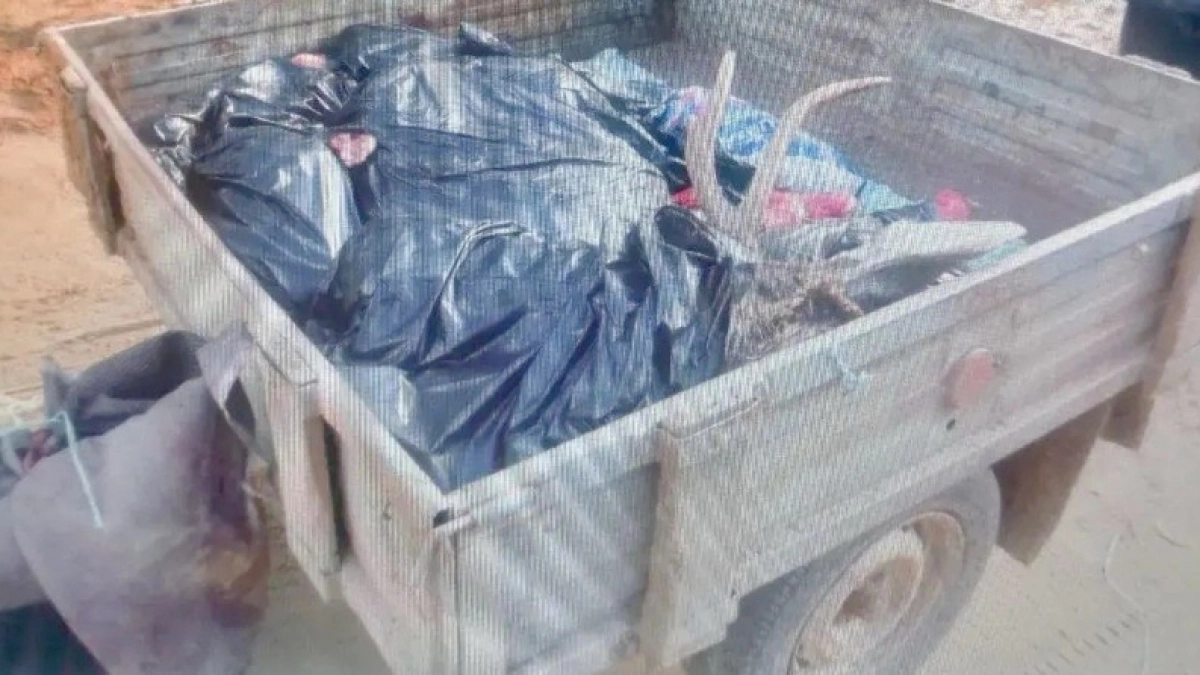 Москвича оштрафовали на 100 тысяч рублей за незаконную охоту на лося в Коми