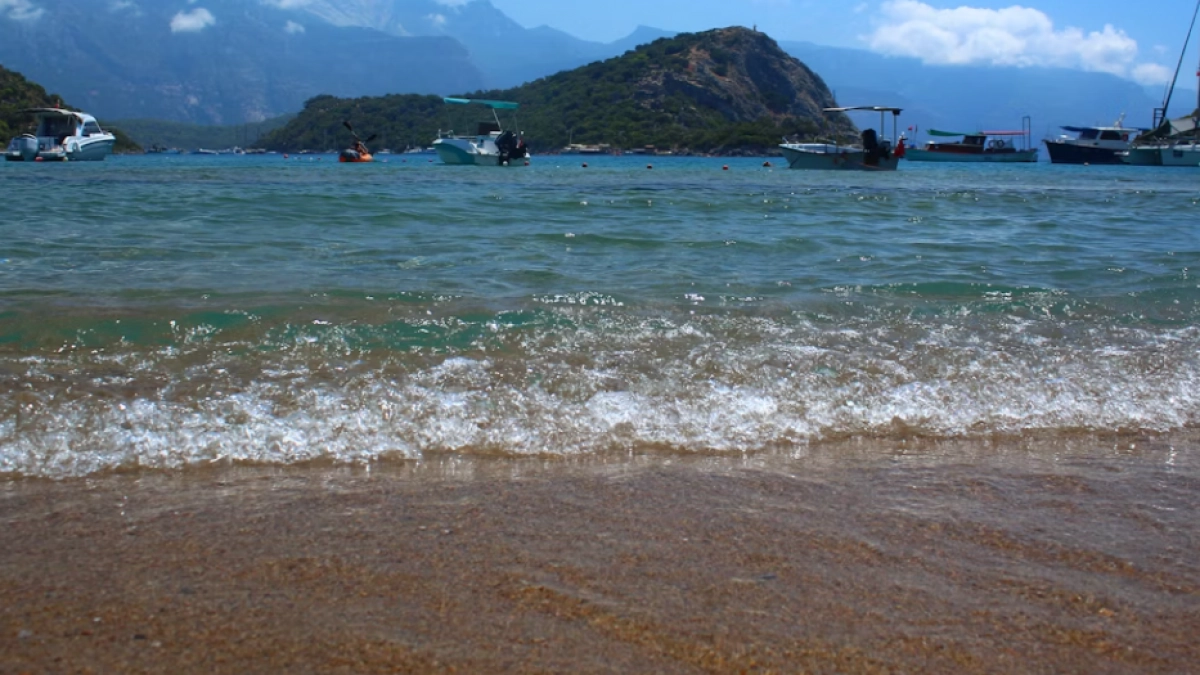 Море с ядовитыми тварями и вездесущий мусор: туристы поделились честным отзывом о популярном курорте