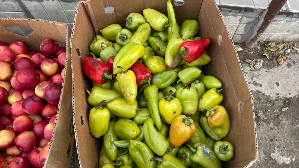 30 капель в воду — и жирный урожай перца обеспечен: и соседям хватит, и детям, и внукам на год вперед