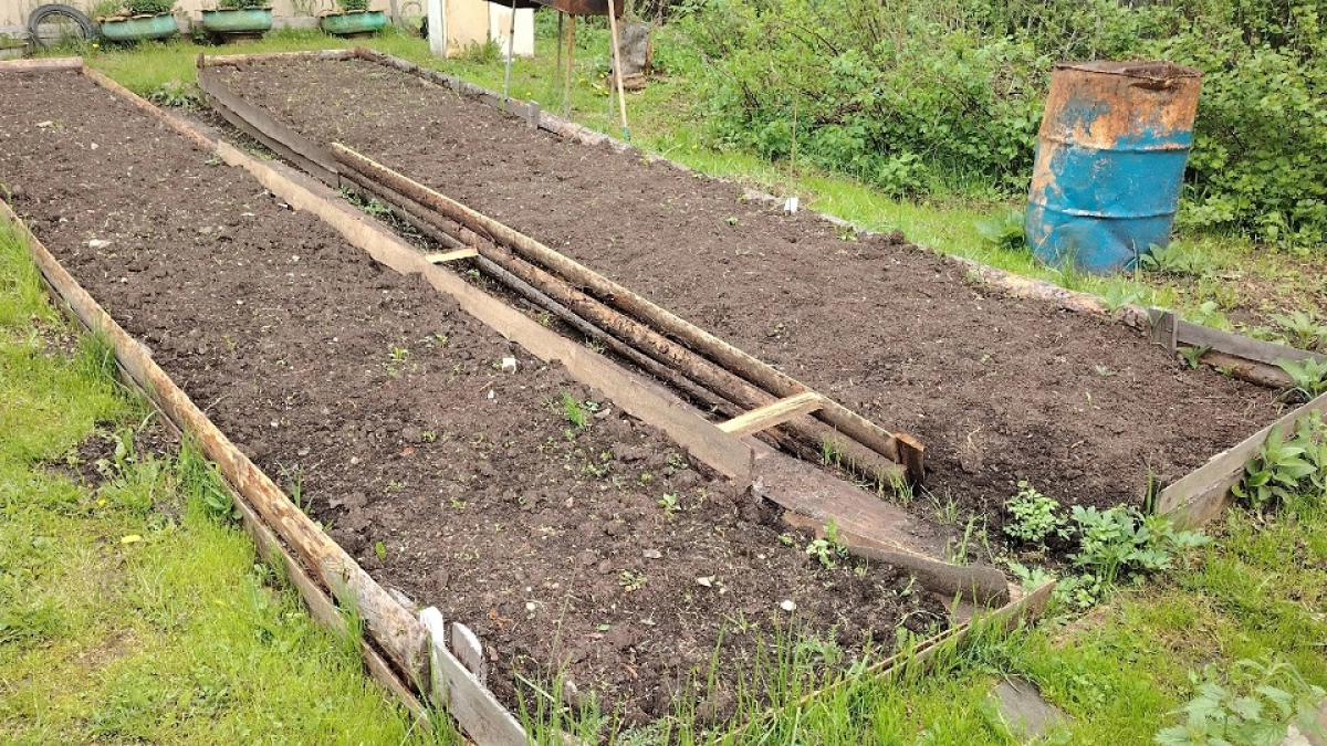 Отказалась от нахваленных стационарных грядок и природного земледелия: вот что предпочла