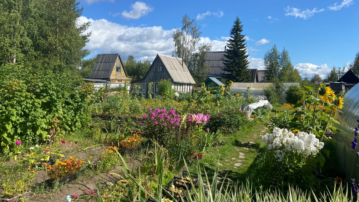 Вычищаем участок от своих же ошибок: 10 действий и решений, которые не стоит делать в разгар дачного сезона