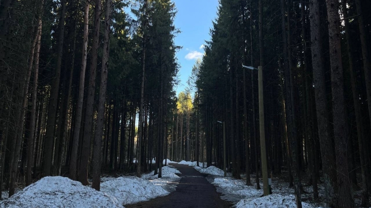 Прохладная и сравнительно спокойная погода ожидается в Коми 29 марта